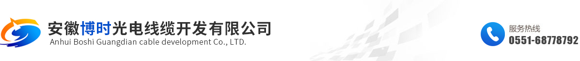 安徽博時光電線纜開發(fā)有限公司